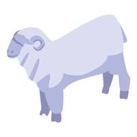 Domestic sheep icon, isometric style vector