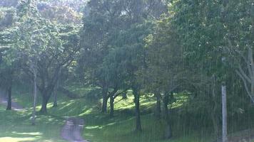 está chovendo no campo de golfe ao sol, há muitas árvores e beleza. video