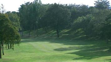 Es regnet auf dem Golfplatz in der Sonne, es gibt viele Bäume und Schönheit. video