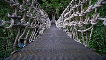 sky walk dans la jungle à chiang mai, thaïlande video