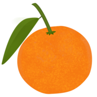 Orange Fruit and green leaf on transparent background. png