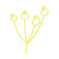 cereza en boho minimalista e ilustración dibujada a mano vintage para elemento de diseño. png