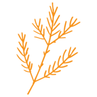 pijnboom blad in minimalistische boho en wijnoogst hand- getrokken illustratie voor ontwerp element. png