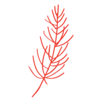 Pine leaf in minimalist boho and vintage hand drawn illustration for design element. png