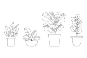 Set of plants in potted. Potted of air filtering plant collection black thin line set collection illustration. vector