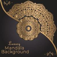 Luxury Mandala Decorative Ethnic Element vector