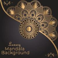 Luxury Mandala Decorative Ethnic Element vector