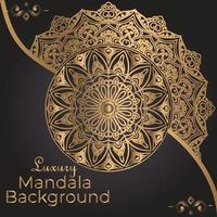 Luxury Mandala Decorative Ethnic Element vector