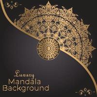 Luxury Mandala Decorative Ethnic Element vector