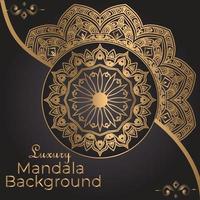 Luxury Mandala Decorative Ethnic Element vector