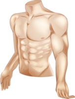 Fitness concept man body firm powerful sport strong shape semi realistic illustration png