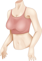 concepto de fitness cuerpo de mujer firme deporte poderoso forma fuerte ilustración semi realista png