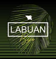 Labuan Bajo vector graphic design template