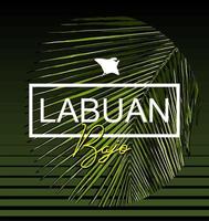 plantilla de diseño gráfico vectorial labuan bajo vector