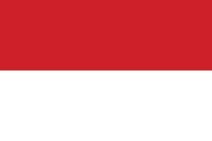 diseño de la bandera de indonesia vector