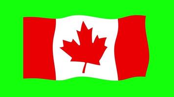 Canada golvend vlag 2d animatie Aan groen scherm achtergrond. looping naadloos animatie. beweging grafisch video