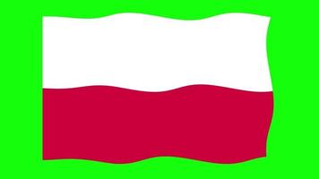 polen schwenkende flagge 2d-animation auf grünem bildschirmhintergrund. Looping nahtlose Animation. Bewegungsgrafik video