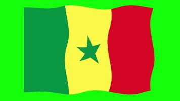 Senegal acenando a animação da bandeira 2d no fundo da tela verde. animação perfeita em loop. gráfico em movimento video