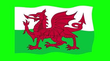 wales agitando bandeira animação 2d em fundo de tela verde. animação perfeita em loop. gráfico em movimento video