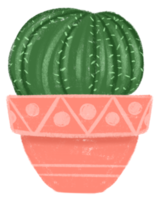 cactus dans un pot orange png