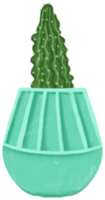 kromme cactus in een blauw pot png