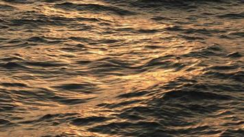 Ocean wave moving with the golden sunlight at sunset video