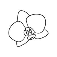 Flowers of orchids in hand. Contour drawing, line art vector