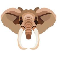 elephant animal wild head colorful character icon vector illustration design