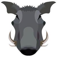Boar, wild pig animal sketch. Hog or african warthog head isolated vector icon of forest and safari mammal with sharp tusk for hunting club symbol, zoo mascot or wildlife themes design