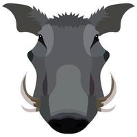 Boar, wild pig animal sketch. Hog or african warthog head isolated vector icon of forest and safari mammal with sharp tusk for hunting club symbol, zoo mascot or wildlife themes design