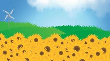 beau champ de tournesol animé profond. vue aérienne de tournesols 4k par une chaude journée d'été. ralenti à travers le champ de culture de tournesol agricole. il y a aussi des moulins à vent et des nuages en mouvement. video