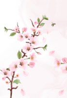 blomning sakura bröllop inbjudningar kort png