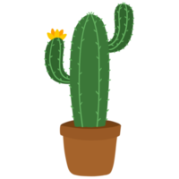 Succulent in Pot Hand Drawn png