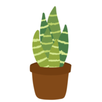 succulente en pot dessinée à la main png