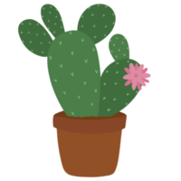 Succulent in Pot Hand Drawn png