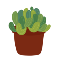 Succulent in Pot Hand Drawn png