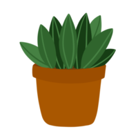 Succulent in Pot Hand Drawn png