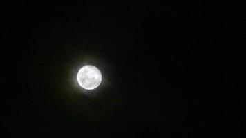 pleine lune en fleurs brillante sur le nuage de la nuit noire avec passage de nuages video