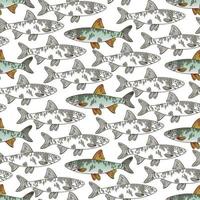 A pattern of graphic white fish with a contour and colored fish with a contour. Fish swim in different directions. seamless pattern for printing on textiles and paper. Gift wrapping, print on clothes vector