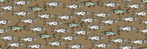 A pattern of graphic white fish with a contour and colored fish with a contour. Fish swim in different directions. Seamless pattern for printing on textiles and paper. Gift wrapping, print on clothes vector