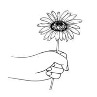 Hand holding a chamomile. Flowers in the hand. Vector iilustration. Flat style