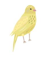 lindo pájaro canario, ilustración brillante vector