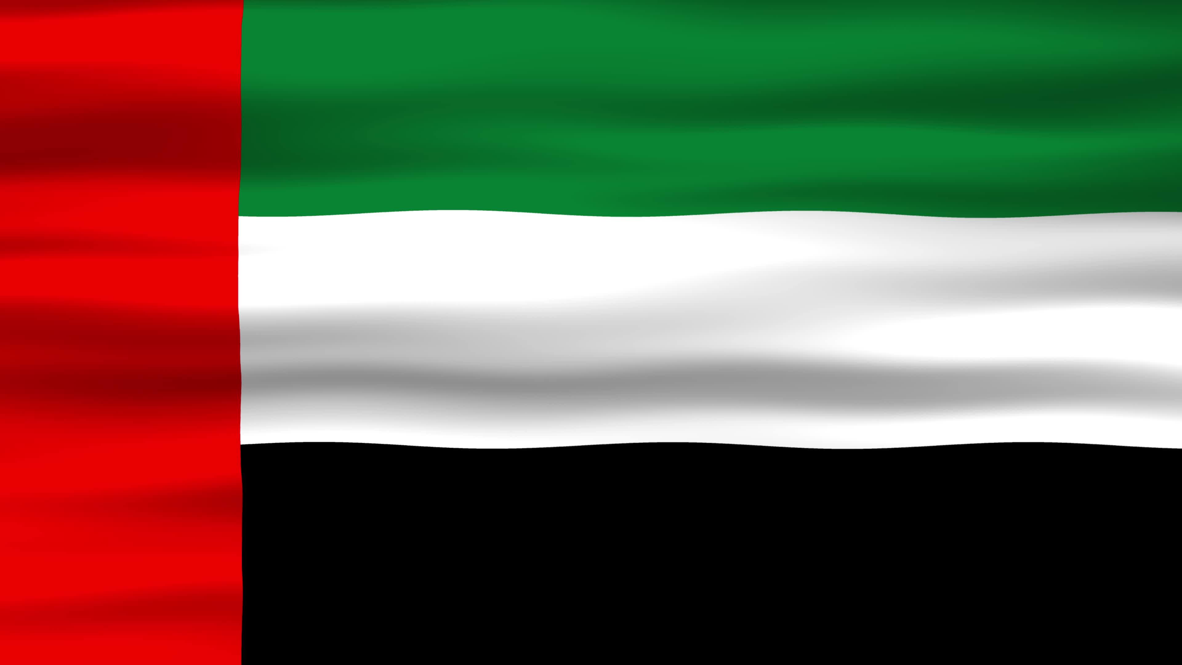 Seamless loop animation of the UAE flag, flag waving in the wind, perfect  for videos of independence day or other holidays 15326944 Stock Video at  Vecteezy