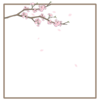 rosa sakura telaio png