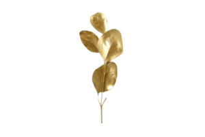 goud decoratief bladeren geïsoleerd Aan een transparant achtergrond png