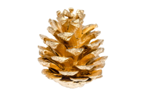 Gold Christmas pine cone isolated on a transparent background png