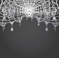 Spider and Web Isolated on Transparent Background. vector