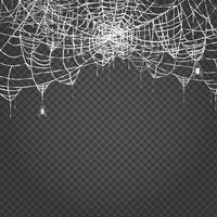 Spider and Web Isolated on Transparent Background. vector