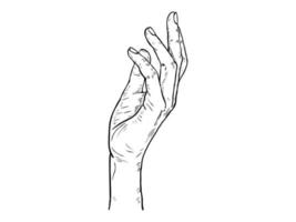 Handdrawn outline hand illustration vector