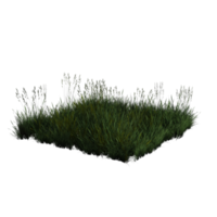 Grass 3d rendering png